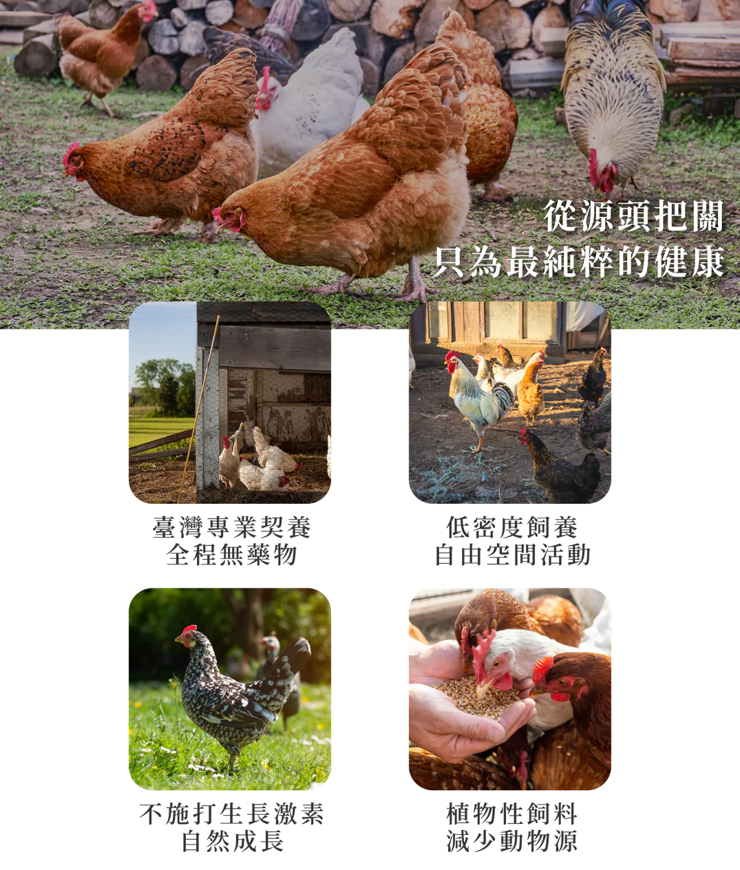 滴雞精任選2盒組